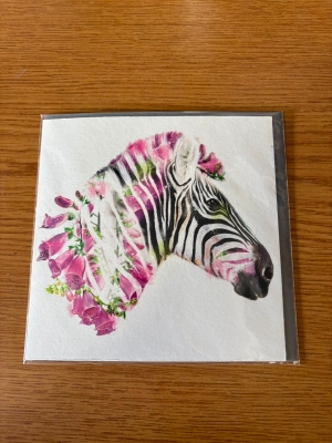 Zebra