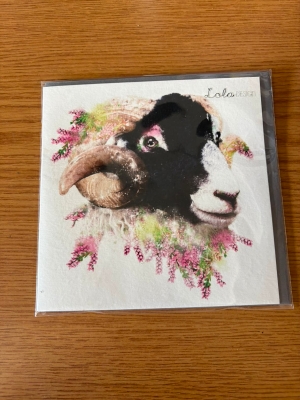 Ram