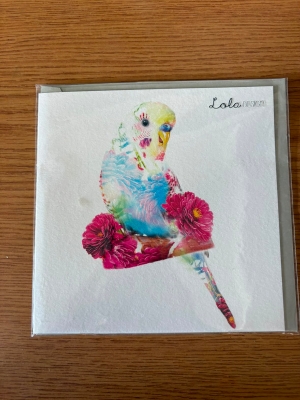 Budgie Card