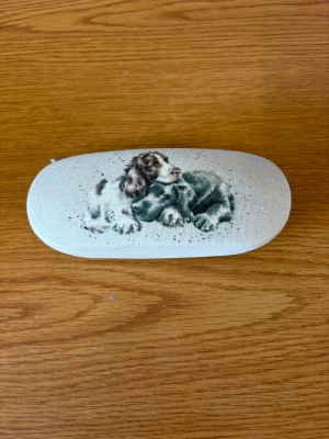Dog Glasses Case