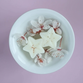 Wax Melts