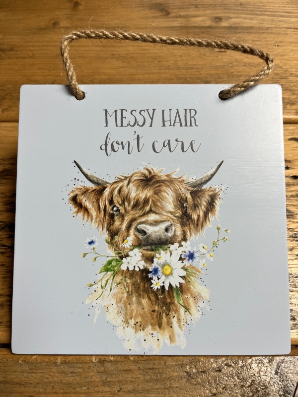 Messy hair don't care – buy online or call 01788 565504