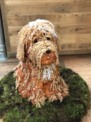 3D Cockapoo