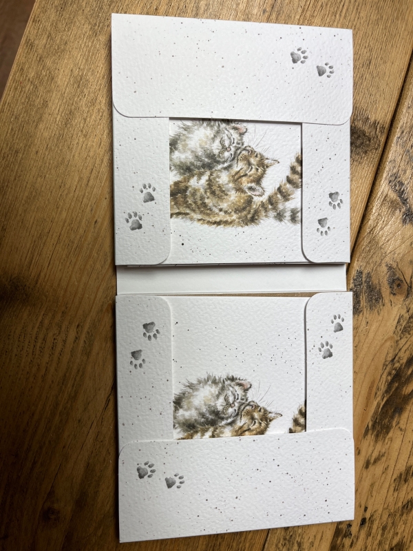 Cats Notecard pack