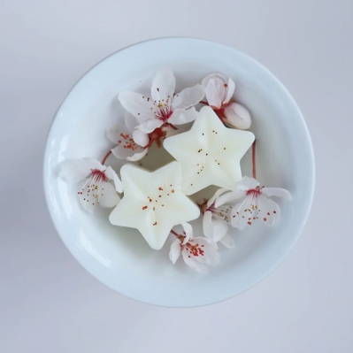 Cherry Blossom & Plum Wax Melts