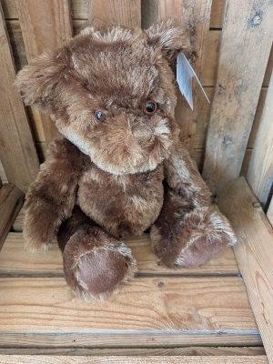 Ethan Bear