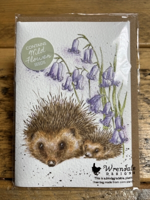 Love and Hedgehogs