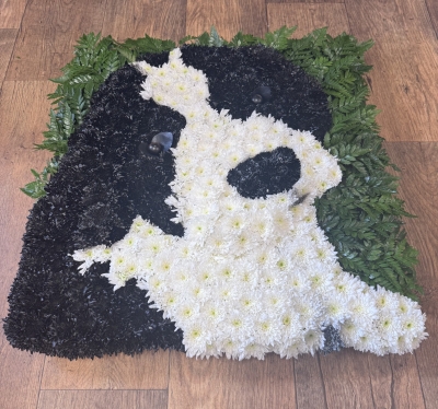 Patch Cocker Spaniel