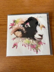Ram