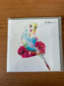 Budgie Card