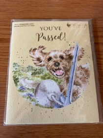 You passed