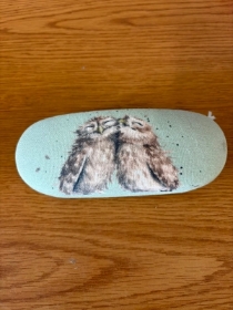 Owl Glasses Case
