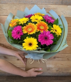 Splash Of Colour