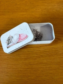 Wrendale Kitten Keepsake Tin