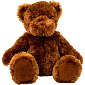 Ethan Bear