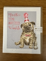 Another Year Another Wrinkle