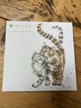 Cats Notecard pack