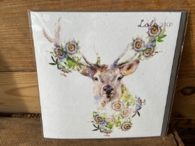 Deer Card