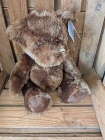 Ethan Bear