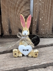 Mum Bunny