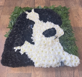 Patch Cocker Spaniel