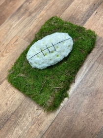 Rugby ball on pitch