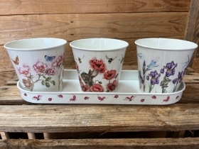 Wrendale Floral Herb Pots and Tray