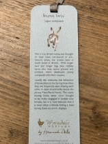 Wrendale Hare Bookmark