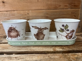 Wrendale Mouse Herb pots and tray